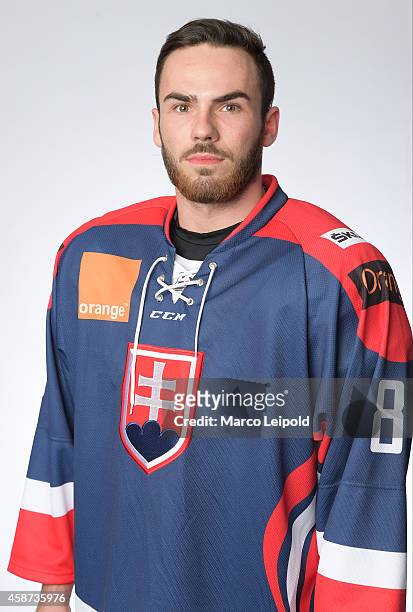 Adam Lapsansky of Slovakia poses for a portrait during the Slovakia men's national ice hockey team presentation on November 6, 2014 in Munich,...