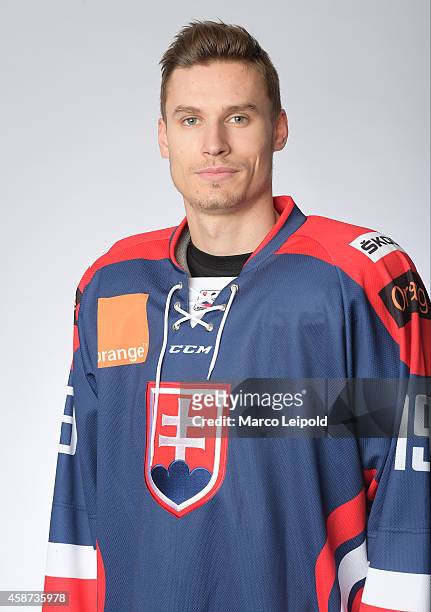 Dalibor Bortnak of Slovakia poses for a portrait during the Slovakia men's national ice hockey team presentation on November 6, 2014 in Munich,...