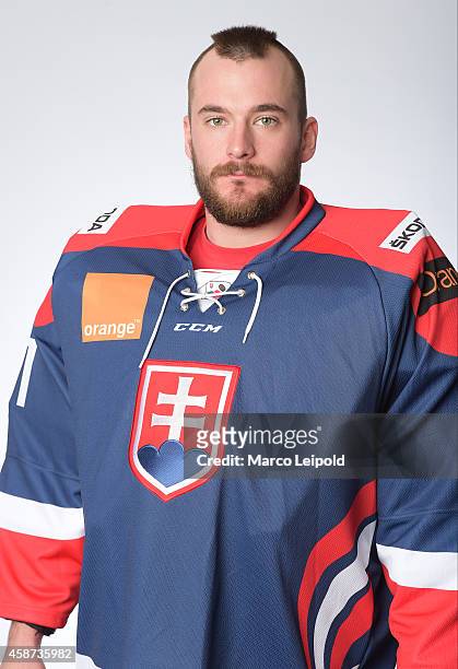 Marek Ciliak of Slovakia poses for a portrait during the Slovakia men's national ice hockey team presentation on November 6, 2014 in Munich, Germany.