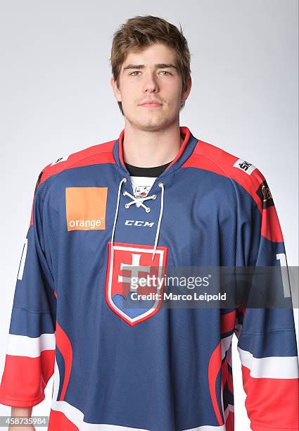 Peter Ceresnak of Slovakia poses for a portrait during the Slovakia men's national ice hockey team presentation on November 6, 2014 in Munich,...