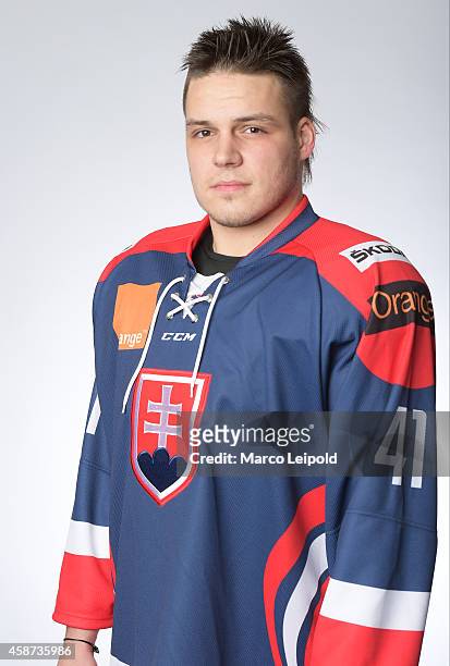 Patrik Lusuak of Slovakia poses for a portrait during the Slovakia men's national ice hockey team presentation on November 6, 2014 in Munich, Germany.