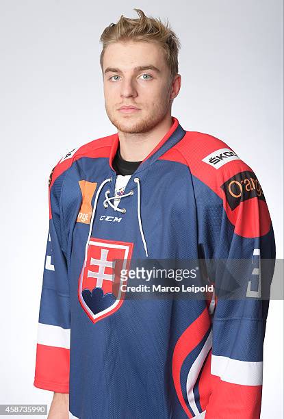 Adam Vanosik of Slovakia poses for a portrait during the Slovakia men's national ice hockey team presentation on November 6, 2014 in Munich, Germany.