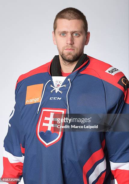 Branislav Konrad of Slovakia poses for a portrait during the Slovakia men's national ice hockey team presentation on November 6, 2014 in Munich,...
