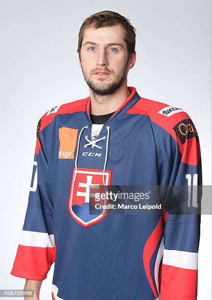 Roman Tomavek of Slovakia poses for a portrait during the Slovakia men's national ice hockey team presentation on November 6, 2014 in Munich, Germany.
