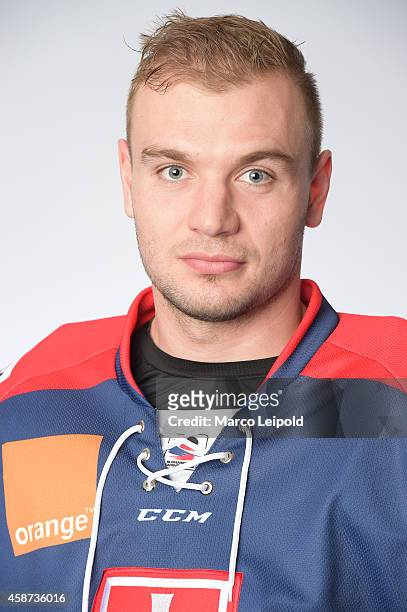 Tomas Sykora of Slovakia poses for a portrait during the Slovakia men's national ice hockey team presentation on November 6, 2014 in Munich, Germany.