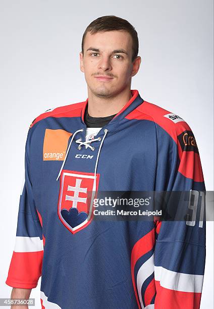Michael Vandas of Slovakia poses for a portrait during the Slovakia men's national ice hockey team presentation on November 6, 2014 in Munich,...