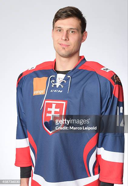 Ivan Svarny of Slovakia poses for a portrait during the Slovakia men's national ice hockey team presentation on November 6, 2014 in Munich, Germany.