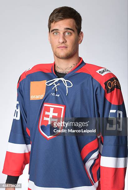 Oldrich Kotvan of Slovakia poses for a portrait during the Slovakia men's national ice hockey team presentation on November 6, 2014 in Munich,...