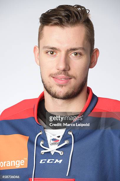 Martin Bakos of Slovakia poses for a portrait during the Slovakia men's national ice hockey team presentation on November 6, 2014 in Munich, Germany.