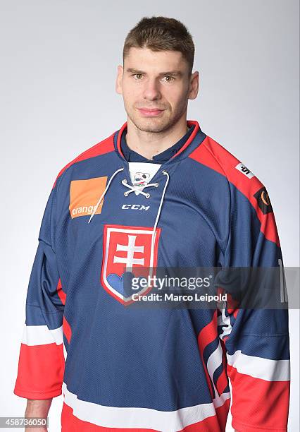 Vuraj Valach of Slovakia poses for a portrait during the Slovakia men's national ice hockey team presentation on November 6, 2014 in Munich, Germany.
