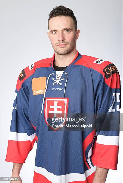 Marek Viedensky of Slovakia poses for a portrait during the Slovakia men's national ice hockey team presentation on November 6, 2014 in Munich,...