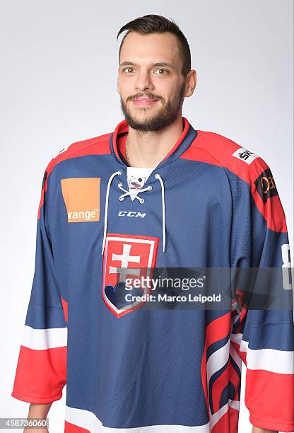 Tomas Bokros of Slovakia poses for a portrait during the Slovakia men's national ice hockey team presentation on November 6, 2014 in Munich, Germany.