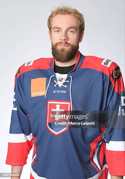 Tomas Marcinko of Slovakia poses for a portrait during the Slovakia men's national ice hockey team presentation on November 6, 2014 in Munich,...