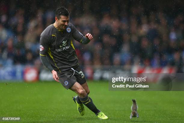 David Nugent of Leiester City chases a squirrel off the pitch after play was delayed during the Sky Bet Championship match between Queens Park...