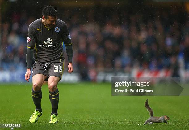 David Nugent of Leiester City chases a squirrel off the pitch after play was delayed during the Sky Bet Championship match between Queens Park...