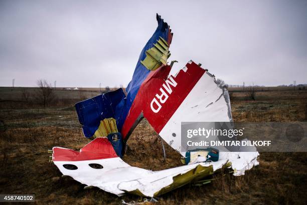 Picture taken on November 10 shows parts of the Malaysia Airlines Flight MH17 at the crash site near the village of Hrabove , some 80 kms east of...