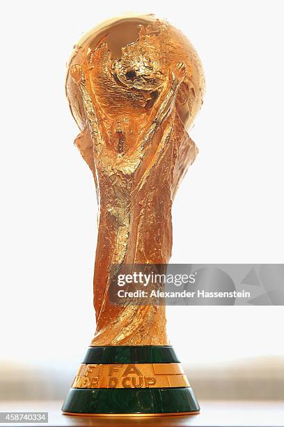 The FIFA World Cup Winners Trophy is displayed priorto the Silbernes Lorbeerblatt Award Ceremony at Schloss Bellevue Palace on November 10, 2014 in...