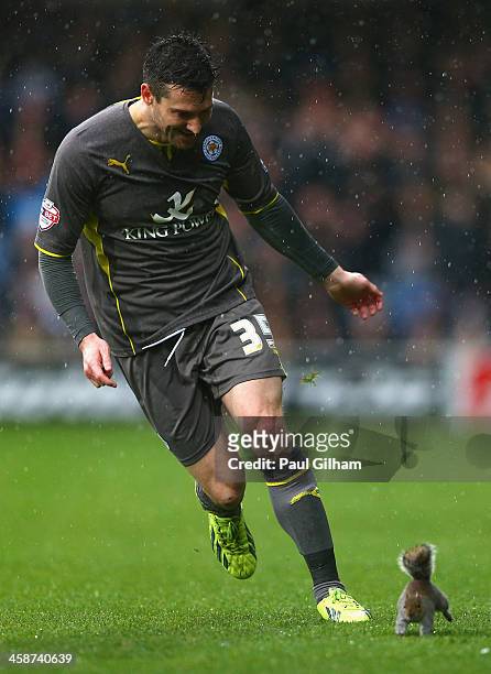 David Nugent of Leiester City chases a squirrel off the pitch after play was delayed during the Sky Bet Championship match between Queens Park...