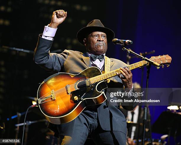 Musician Taj Mahal performs onstage at the 2014 Thelonious Monk International Jazz Trumpet Competition at Dolby Theatre on November 9, 2014 in...