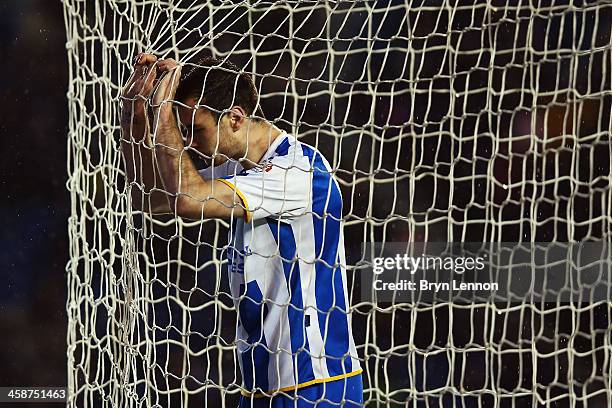 Ashley Barnes of Brighton and Hove Albion reflects on a missed opportunity during the Sky Bet Championship match between Brighton & Hove Albion and...