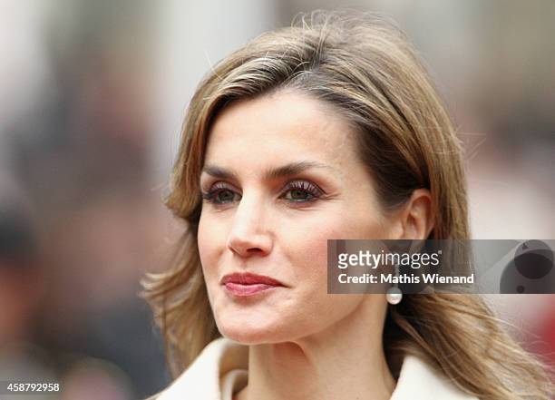 Queen Letizia of Spain attends a one-day official visit on November 11, 2014 in Luxembourg, Luxembourg.