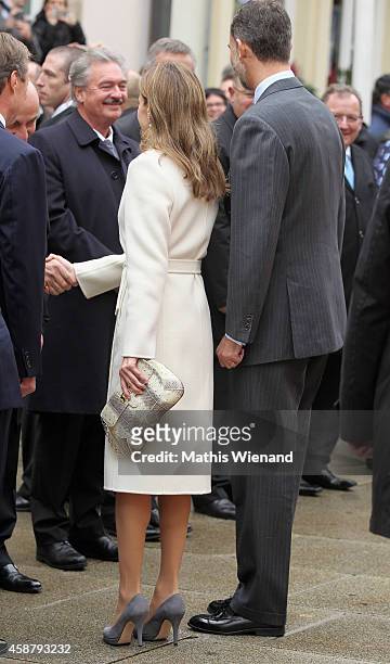 King Felipe VI of Spain and Queen Letizia of Spain attend a one-day official visit on November 11, 2014 in Luxembourg, Luxembourg.