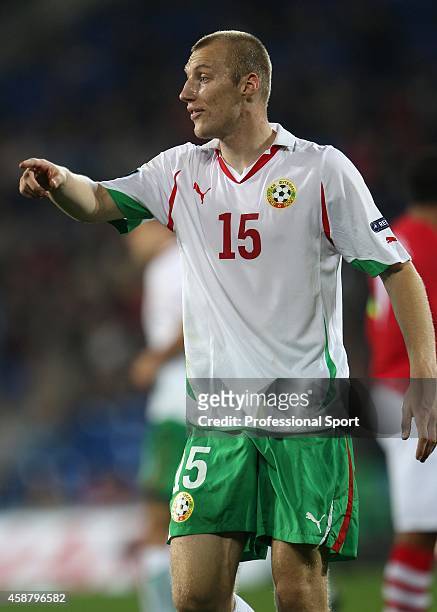 Ivan Ivanov of Bulgaria during the EURO 2012 Group G Qualifier between Wales and Bulgaria at Cardiff City Stadium on October 8, 2010 in Cardiff,...