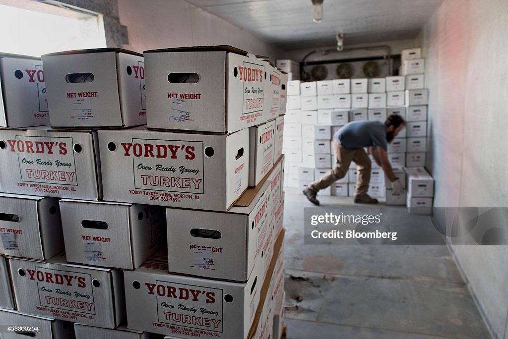 Operations At The Yordy Turkey Farm Ahead Of Thanksgiving