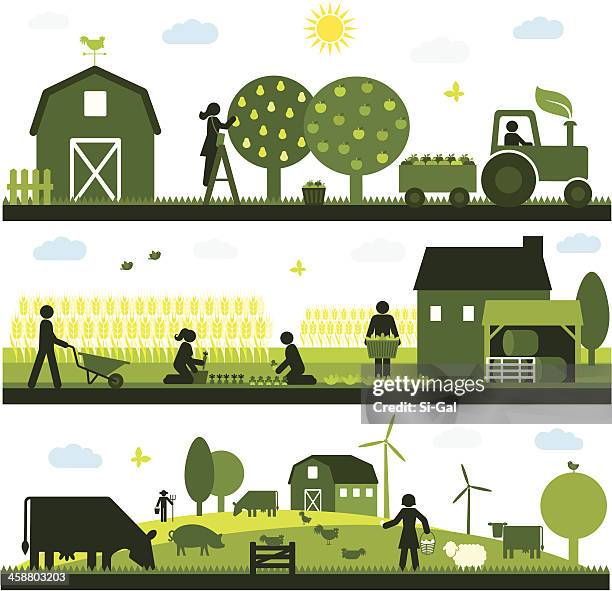 biologische landwirtschaft - organischer bauernhof stock-grafiken, -clipart, -cartoons und -symbole