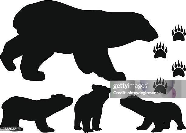 ilustraciones, imágenes clip art, dibujos animados e iconos de stock de bear - bear cub