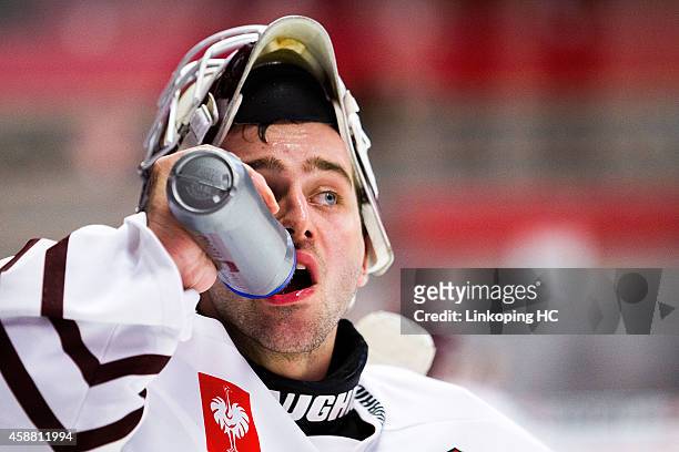 Filip Novotny during the Champions Hockey League round of 16 second leg game between Linkoping HC and Sparta Prague at Saab Arena on November 11,...