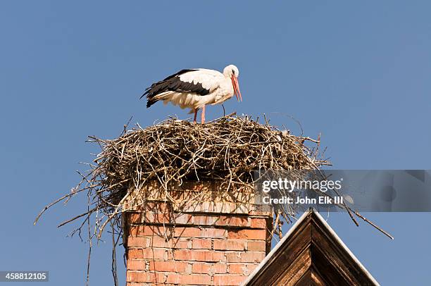 storks nesting on house chimmney - storch stock-fotos und bilder