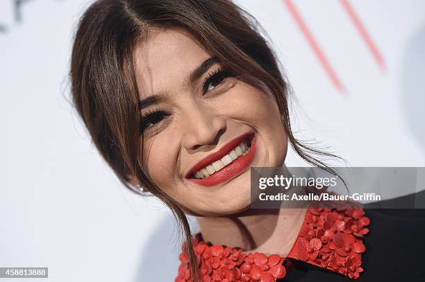 Actress Anne Curtis attends the Los Angeles Premiere of 'Blood Ransom' at ArcLight Hollywood on October 28, 2014 in Hollywood, California.