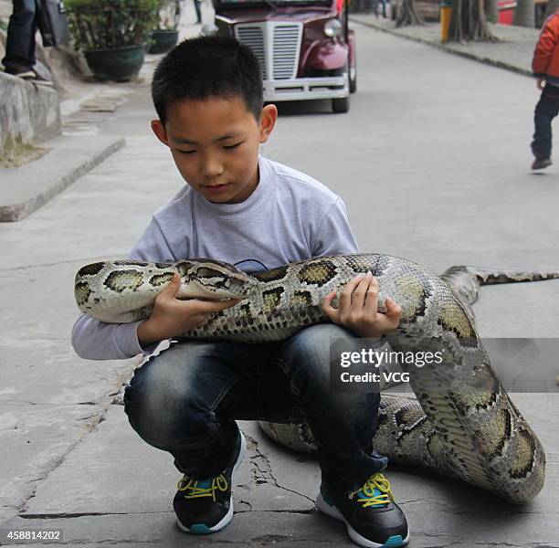 216 Chinese Albino Stock Photos, High-Res Pictures, and Images - Getty ...
