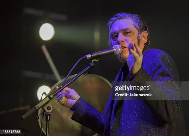 Blixa Bargeld of the German band Einstuerzende Neubauten performs live during a concert at the Tempodrom on November 11, 2014 in Berlin, Germany.