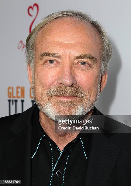 Director James Keach attends the Premiere of "Glen Campbell... I'll Be Me" at Pacific Design Center on November 11, 2014 in West Hollywood,...