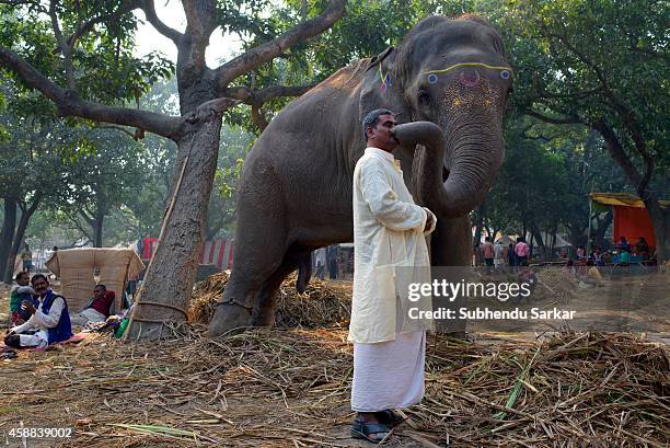 140 Sonpur Mela Photos and Premium High Res Pictures - Getty Images 140 Sonpur Mela Photos and Premium High Res Pictures - Getty Images