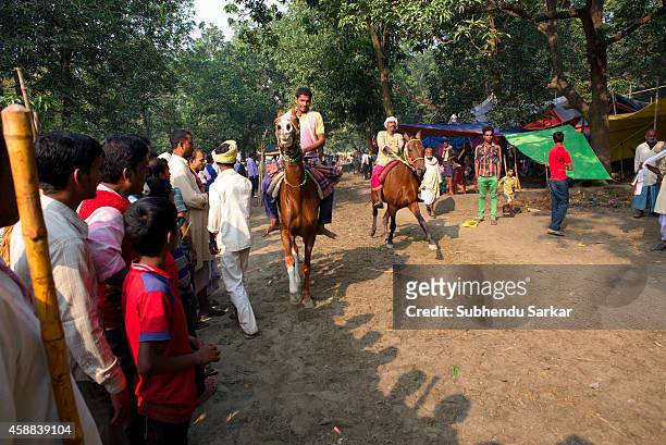 Sonepur Cattle Fair Photos and Premium High Res Pictures - Getty Images