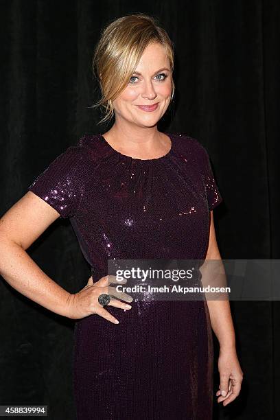 Actress Amy Poehler attends PEN Center USA's 24th Annual Literary Awards Festival honoring Norman Lear at Regent Beverly Wilshire Hotel on November...