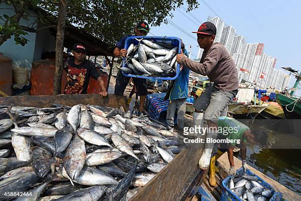 Fishermen unload crates of fish at a port in the Muara Karang area of North Jakarta, Indonesia, on Wednesday, Nov. 5, 2014. Jakarta, a former Dutch...