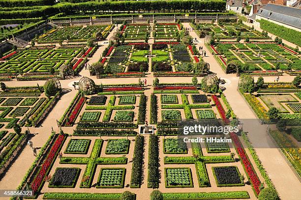 vegetable garden at château de villandry - french garden stock pictures, royalty-free photos & images