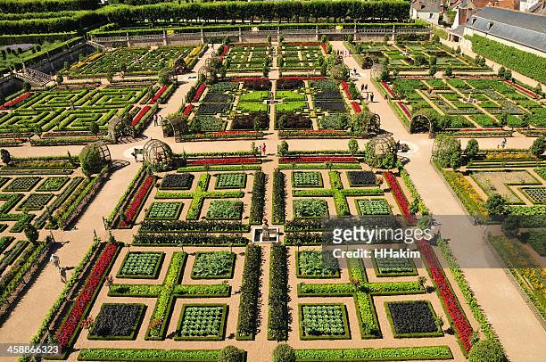 horta no castelo de villandry - french garden imagens e fotografias de stock