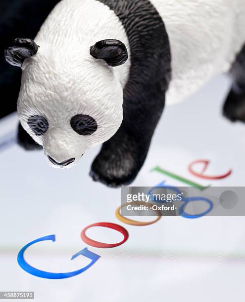 google panda - indexing stock pictures, royalty-free photos & images