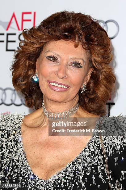 Honoree Sophia Loren attends the special tribute to Sophia Loren during the AFI FEST 2014 presented by Audi at Dolby Theatre on November 12, 2014 in...