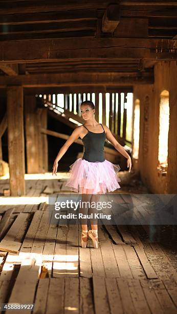 ballerina 1 - arad county romania stock pictures, royalty-free photos & images