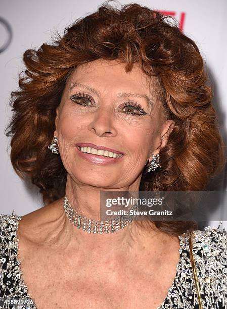 Sophia Loren arrives at the AFI FEST 2014 Presented By Audi - A Special Tribute To Sophia Loren at Dolby Theatre on November 12, 2014 in Hollywood,...