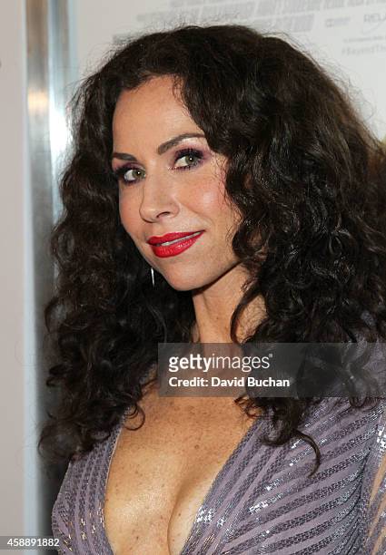 Actress Minnie Driver attends the Premiere of Relativity Studios and BET Networks' "Beyond The Lights" at ArcLight Hollywood on November 12, 2014 in...