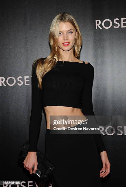 Model Jayne Moore attends "Rosewater" New York Premiere at AMC Lincoln Square Theater on November 12, 2014 in New York City.