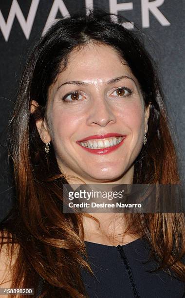 Lori Silverbush attends "Rosewater" New York Premiere at AMC Lincoln Square Theater on November 12, 2014 in New York City.
