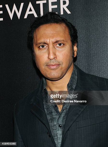Actor Aasif Mandvi attends "Rosewater" New York Premiere at AMC Lincoln Square Theater on November 12, 2014 in New York City.